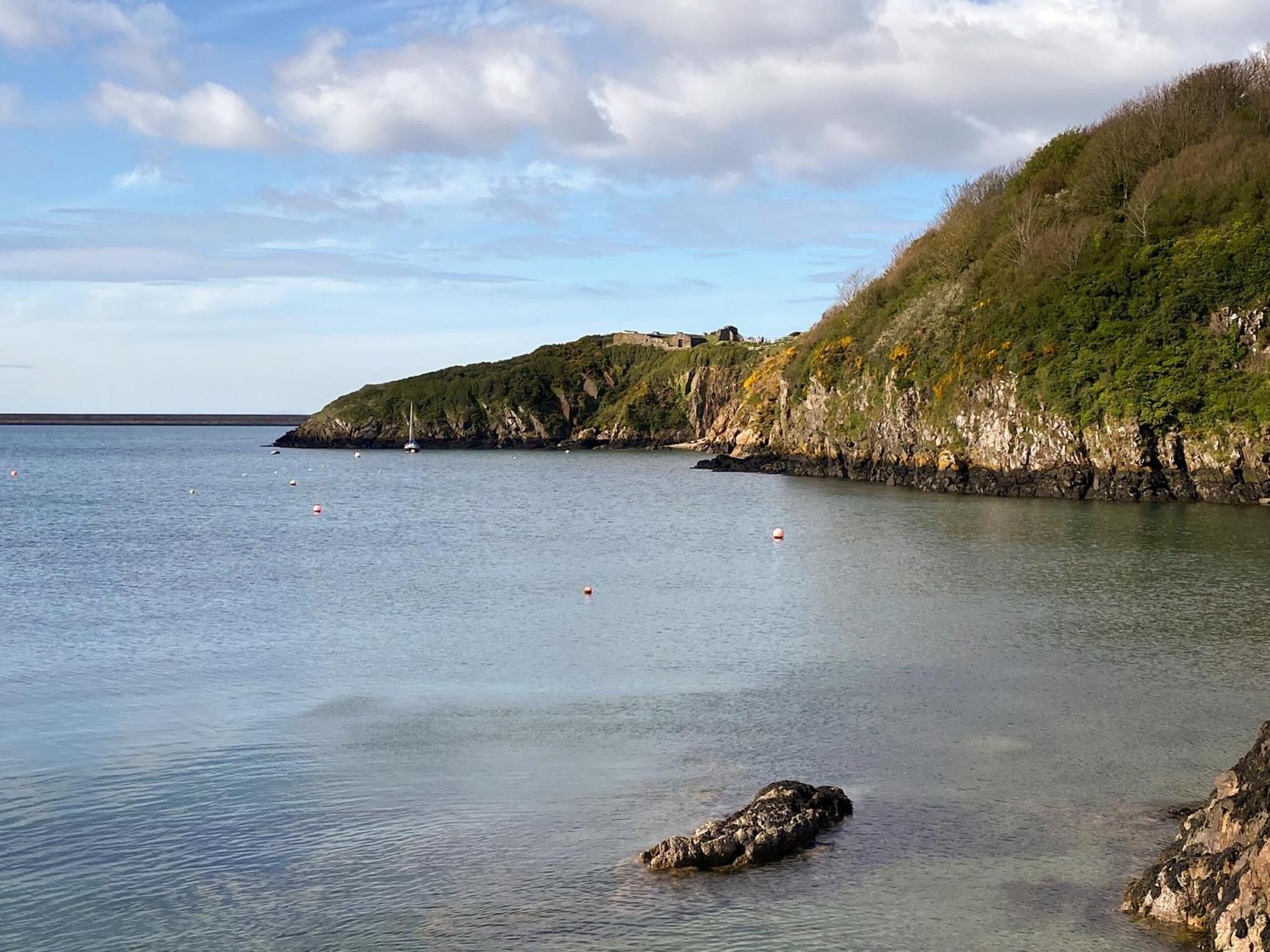 Snowdrop Cottage Fishguard Dış mekan fotoğraf
